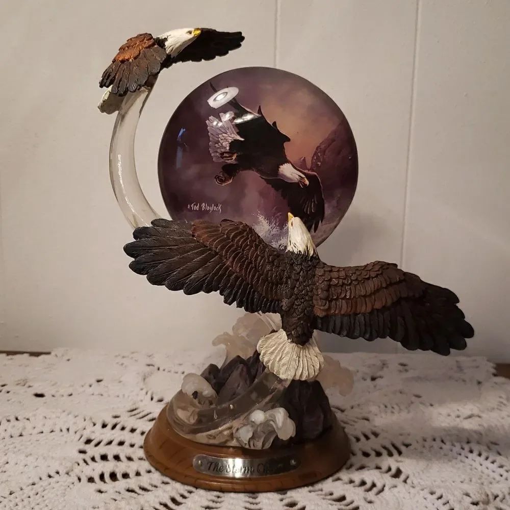 Vtg 2004 Bradford Exchange "The Storm Chaser" from Majestic Flights Collection